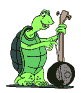 tortue1.gif (18242 octets)