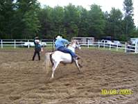 chevaux-04.jpg