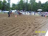 chevaux-06.jpg
