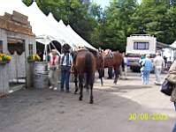 et-oup-le-saloon.jpg